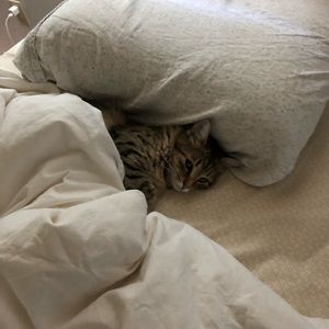 Meet your Posher, Alma